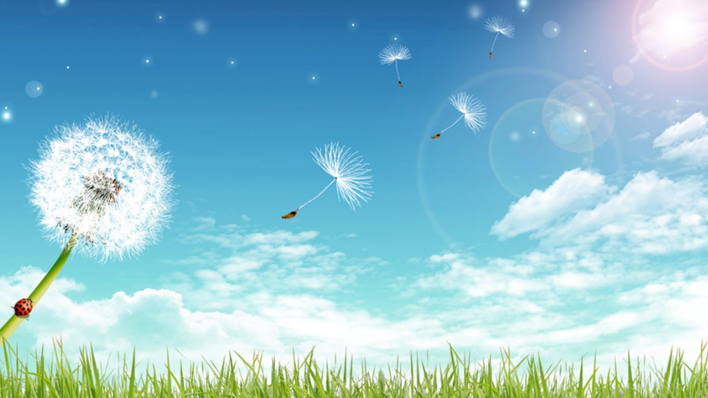 浦发银行惠闪贷【超火爆】