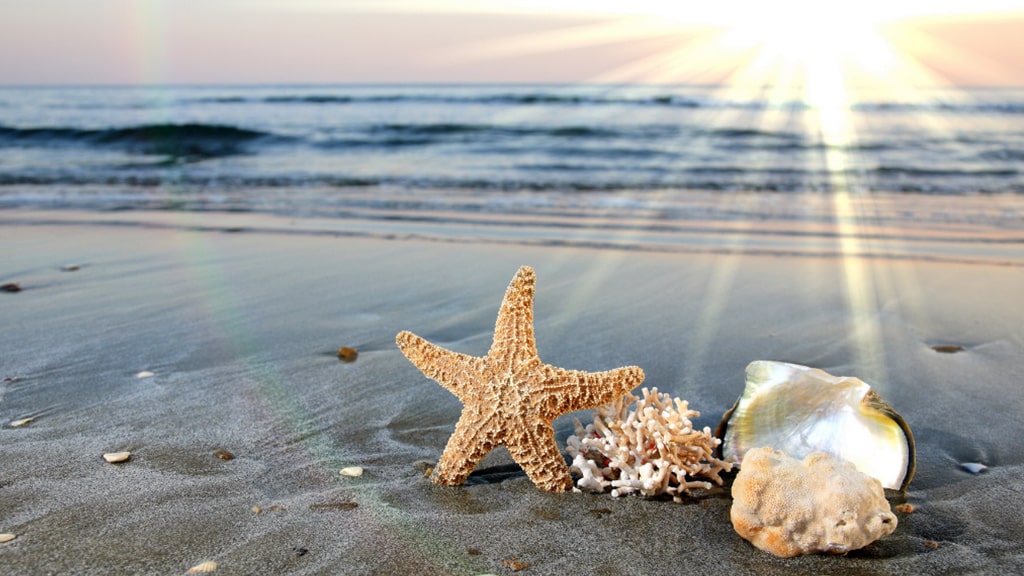 建设银行善营贷【经营贷】 | 艾莱米