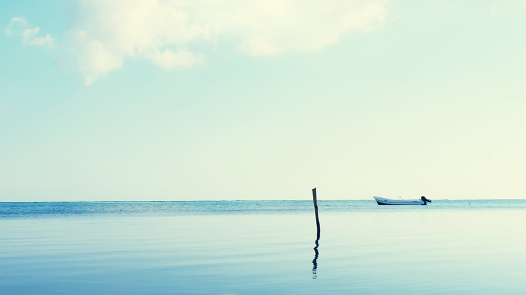 兴业银行兴速贷【向“兴”而行】