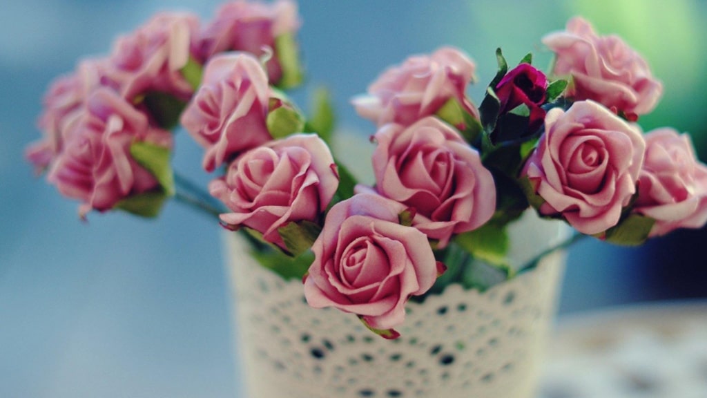 中国银行随心智贷【乐享生活~】 | 艾莱米