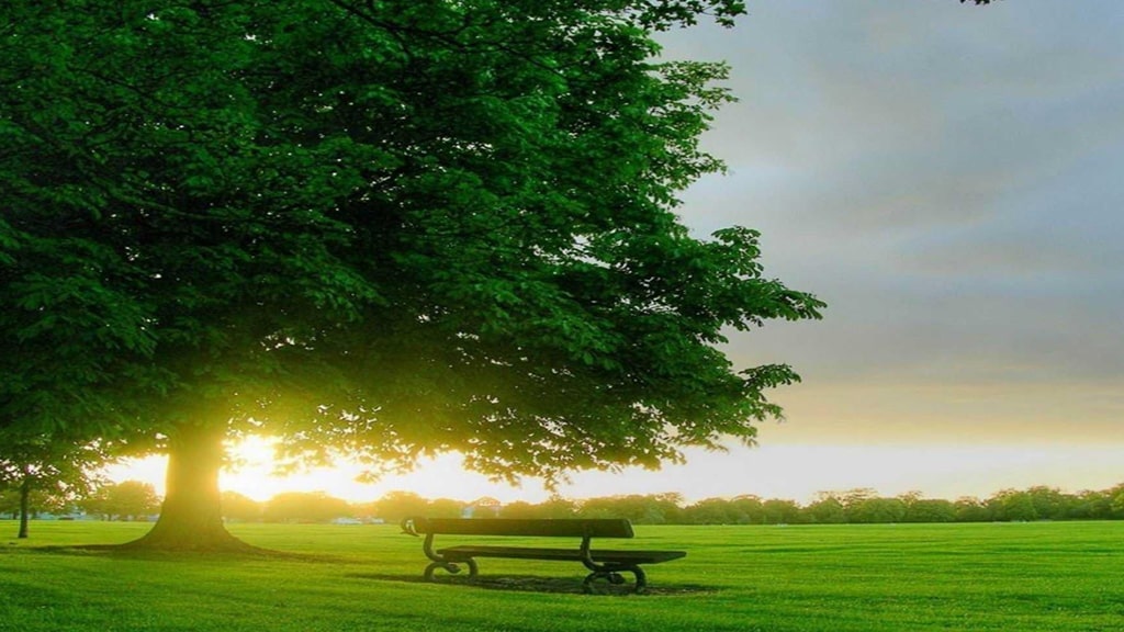 广发银行E秒商户贷