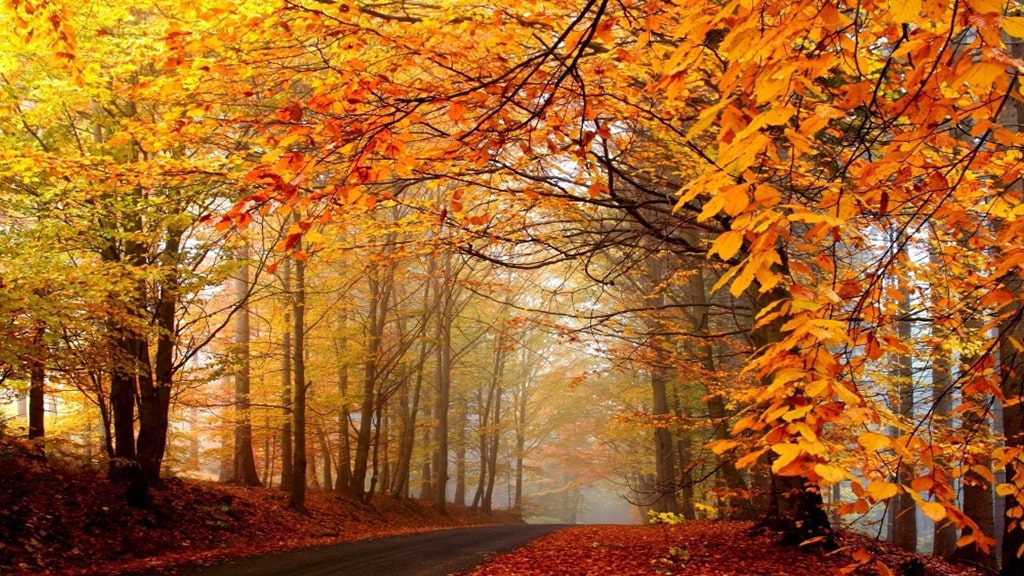 京东金融优税贷，策略优化通过率大大提升 | 艾莱米