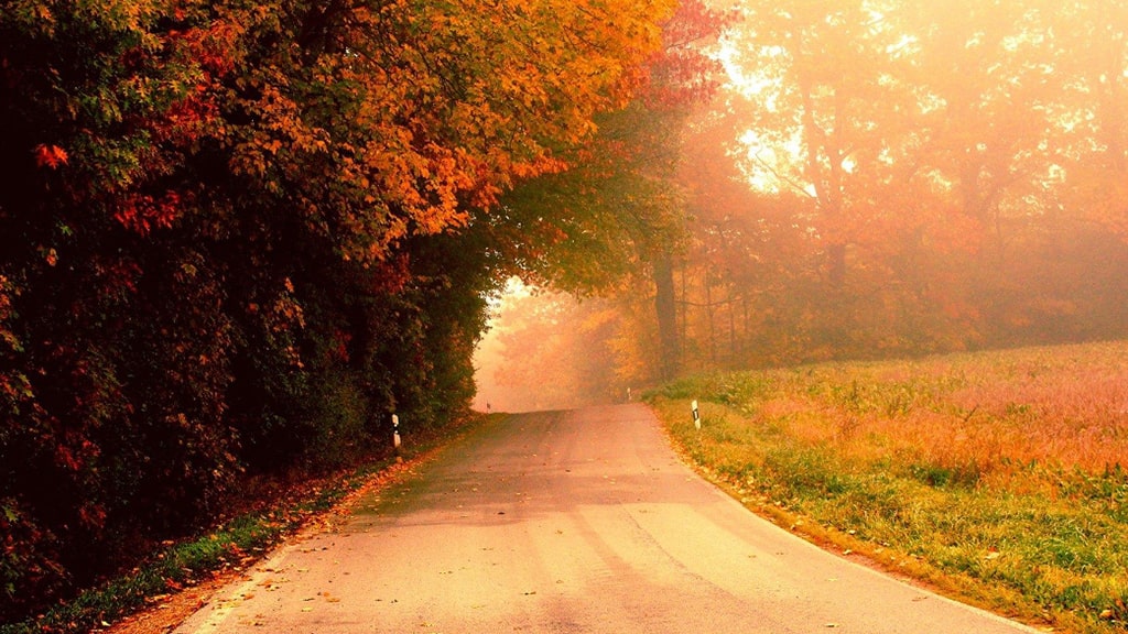 远东·远易租【设备租赁】 | 艾莱米