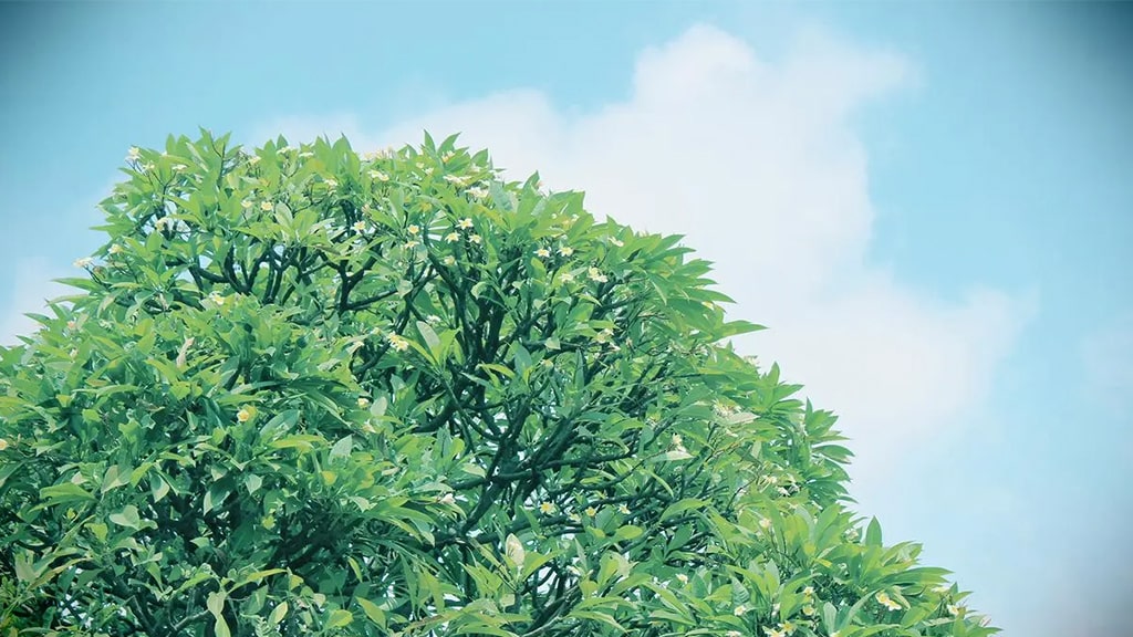 金城银行金企贷【展业区域又叒叕更新啦】 | 艾莱米