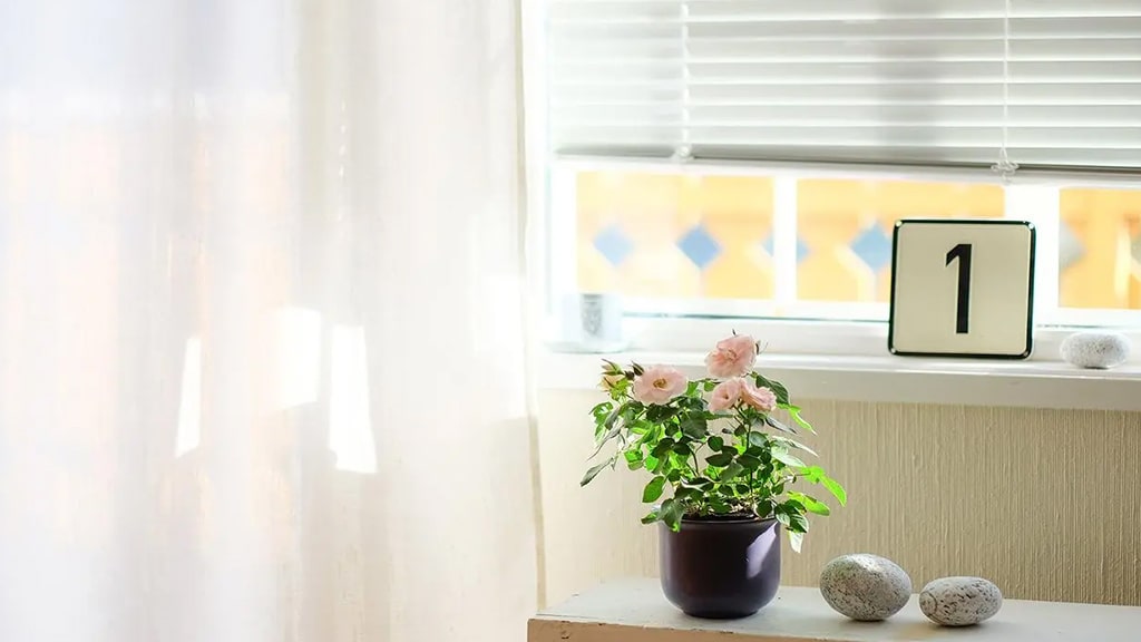 广发银行烟草贷 | 艾莱米