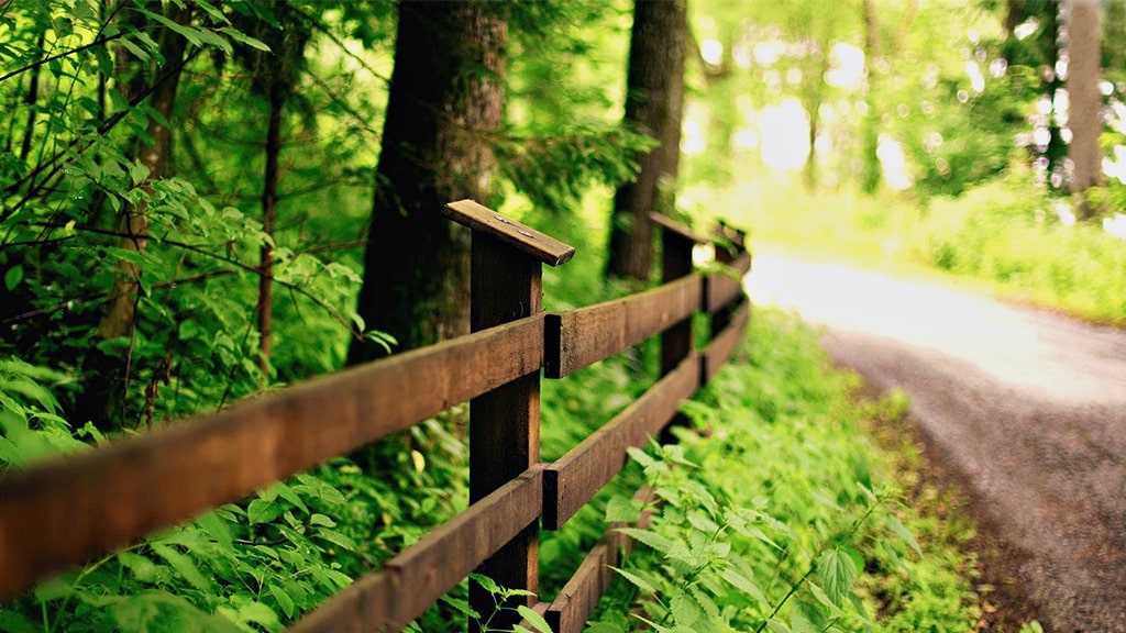 中和农信极速贷 | 艾莱米