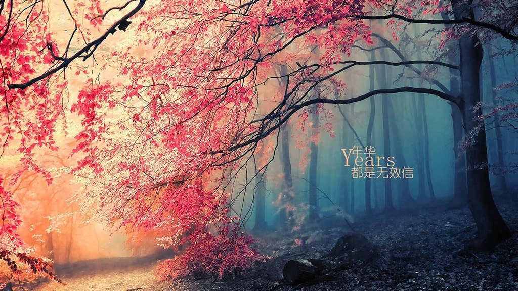 上海农商银行鑫e贷【个人消费贷】 | 艾莱米