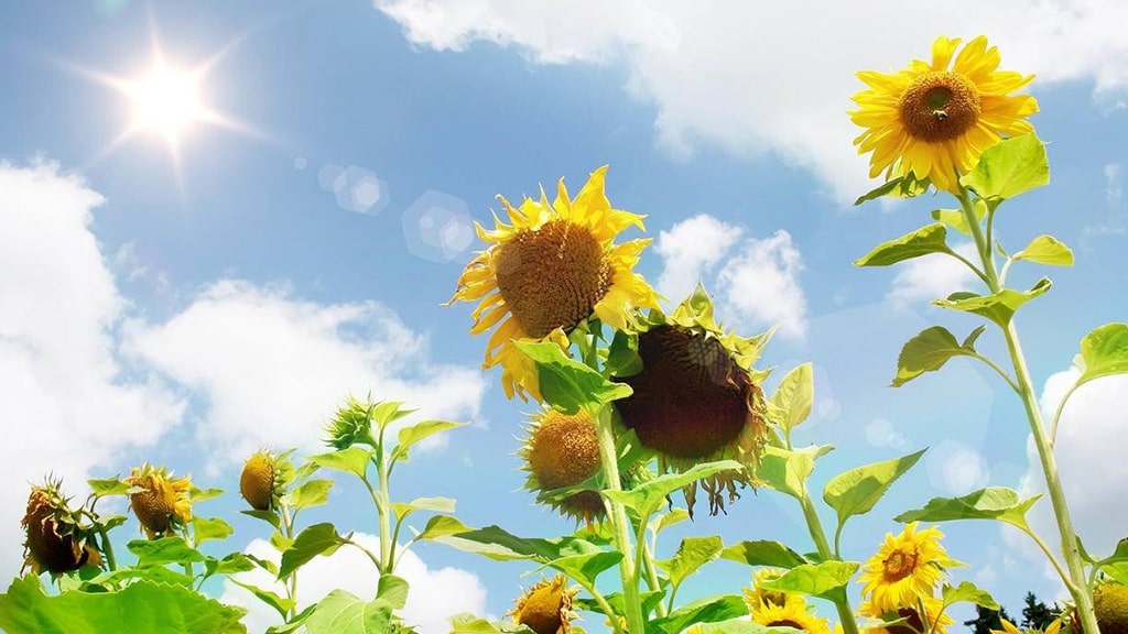 企业流水贷【流程可控】 | 艾莱米