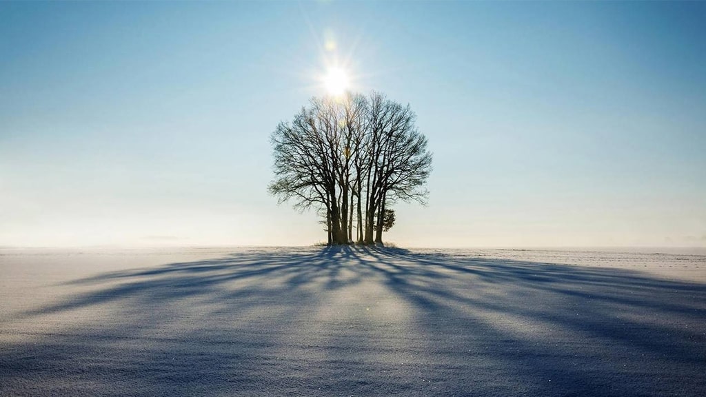 交通银行菁才惠民贷【毕业生专享学历贷】 | 艾莱米