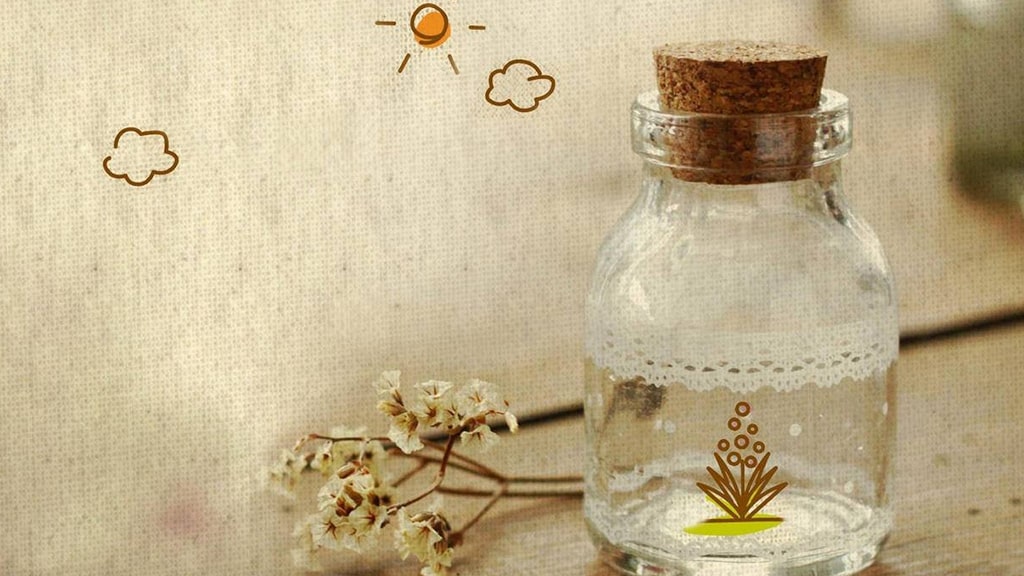 长江银行舒心贷【收获幸运星】 | 艾莱米