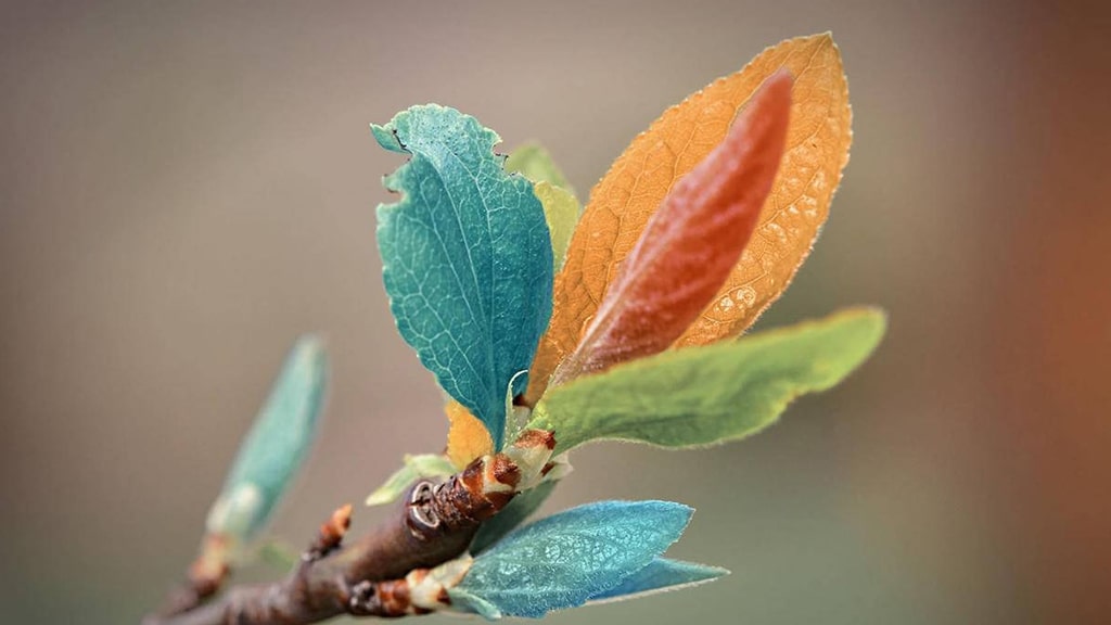 三湘银行湘业贷 | 艾莱米