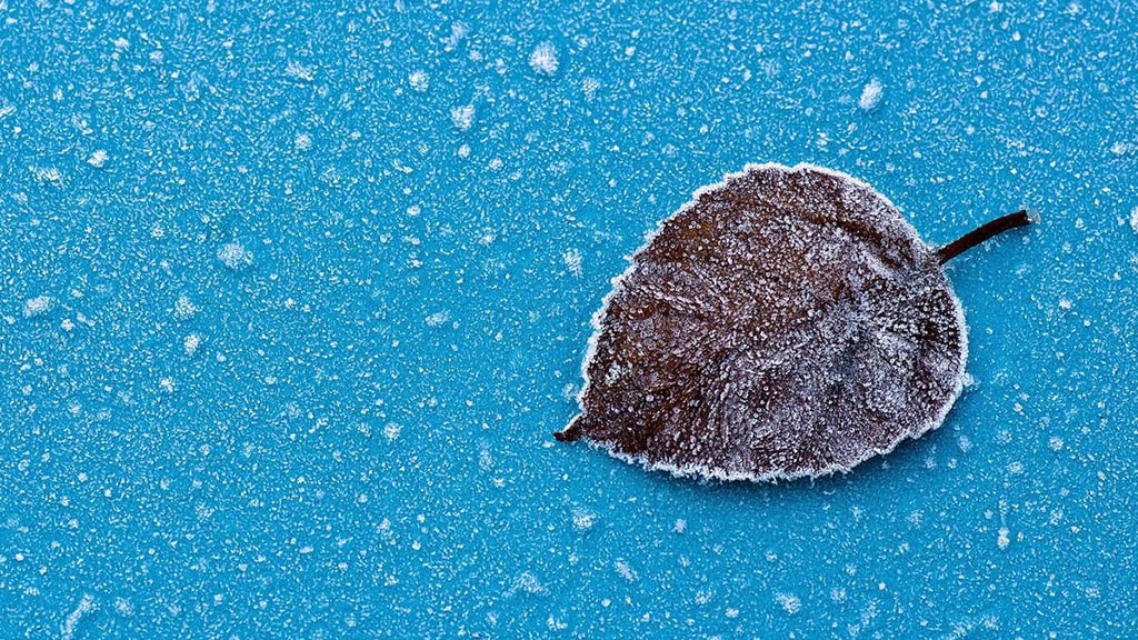 光大银行光速贷【出额可降息】 | 艾莱米