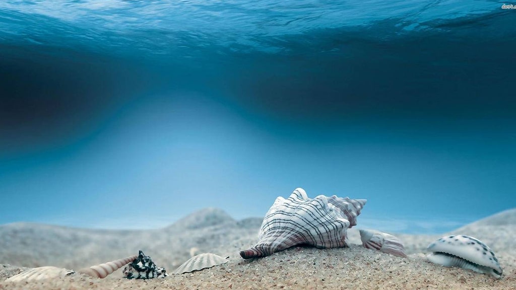 瀚华好享贷【一审三批】