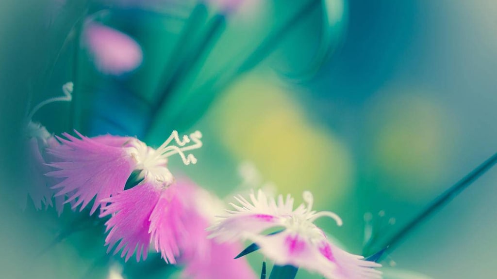 邮政银行产业贷【企业贷】 | 艾莱米