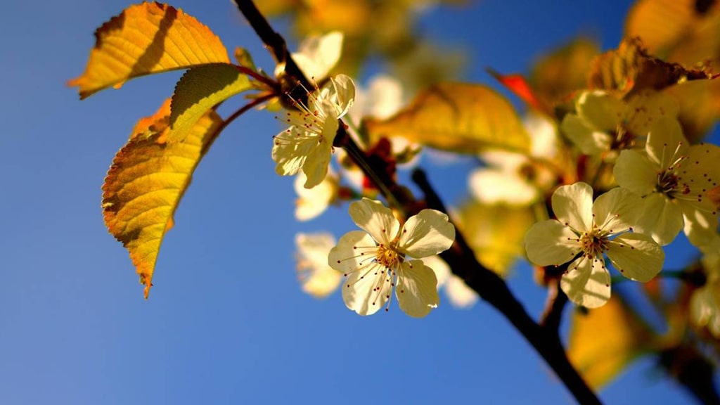 顺鑫经营贷【爆款来袭！全新烟草贷】